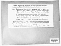 Image Associated With the Occurence
